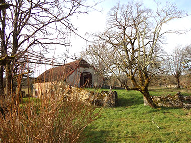 The barn and gardens