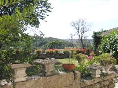 The garden