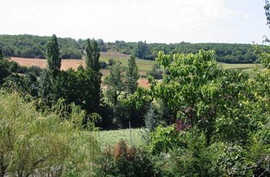 View from the house